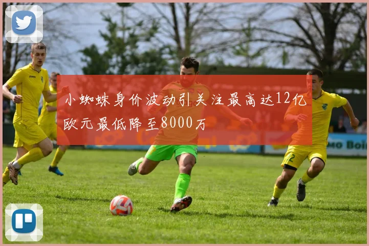 小蜘蛛身价波动引关注最高达12亿欧元最低降至8000万