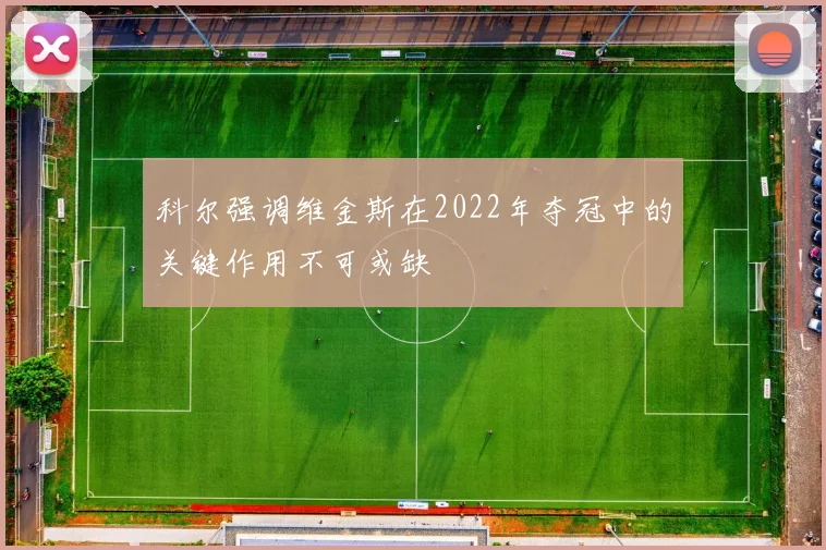 科尔强调维金斯在2022年夺冠中的关键作用不可或缺