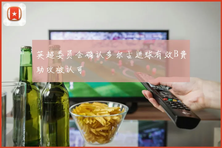 英超委员会确认多尔古进球有效B费助攻被认可